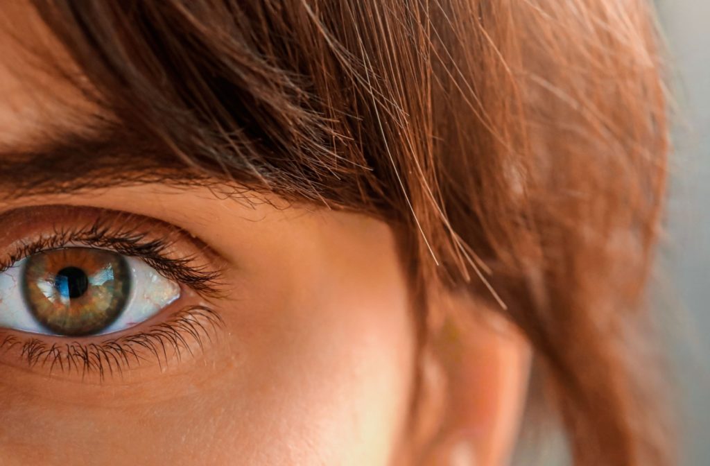 Close-up of a human eye, showcasing the cornea as the transparent, protective layer over the iris, essential for focusing light and maintaining clear vision.